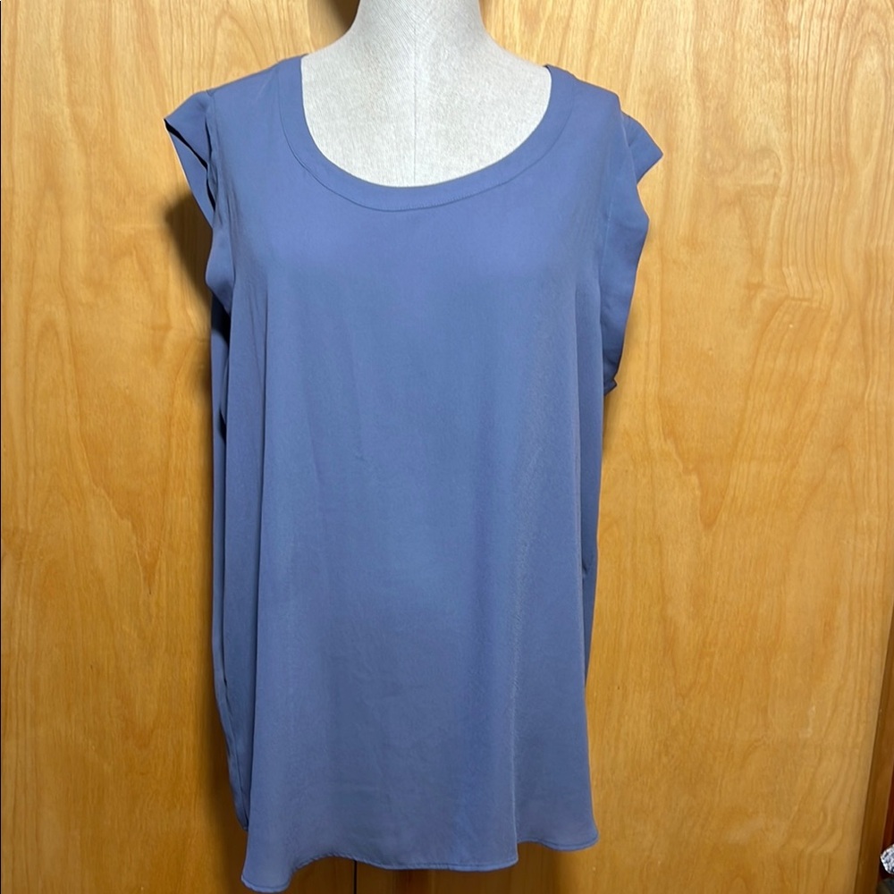 Pleione Women's Soft Blue Blouse